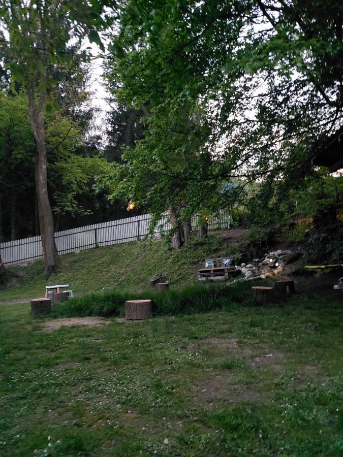 Pensiunea Mariana برانْ المظهر الخارجي الصورة